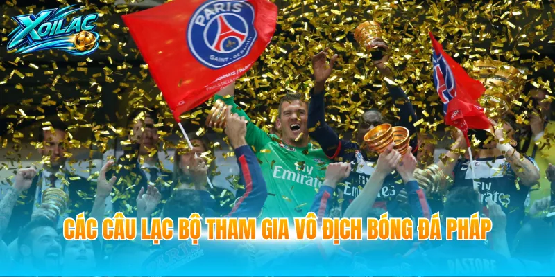 Các câu lạc bộ tham gia Vô địch bóng đá Pháp