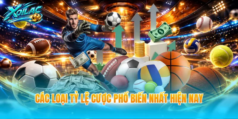 Các loại tỷ lệ cược phổ biến nhất hiện nay