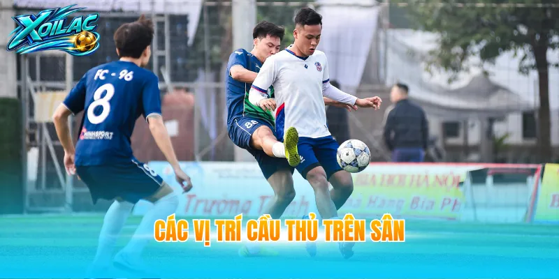 các vị trí cầu thủ trên sân