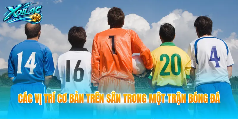 Các vị trí cơ bản trên sân trong một trận bóng đá