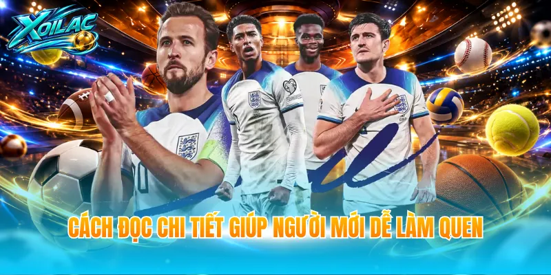 Cách đọc chi tiết giúp người mới dễ làm quen