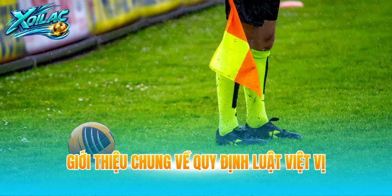 Giới thiệu chung về quy định luật việt vị