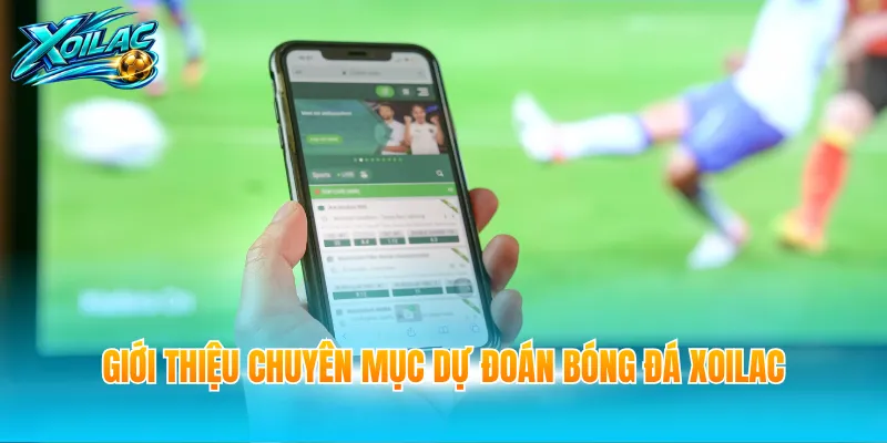 Giới thiệu chuyên mục dự đoán bóng đá Xoilac