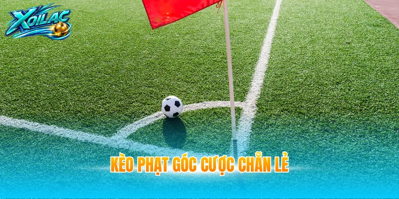 Kèo phạt góc cược chẵn lẻ