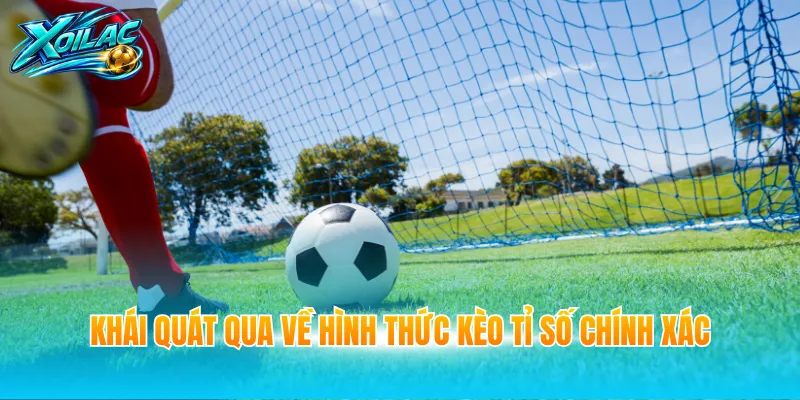 Khái quát qua về hình thức kèo tỉ số chính xác