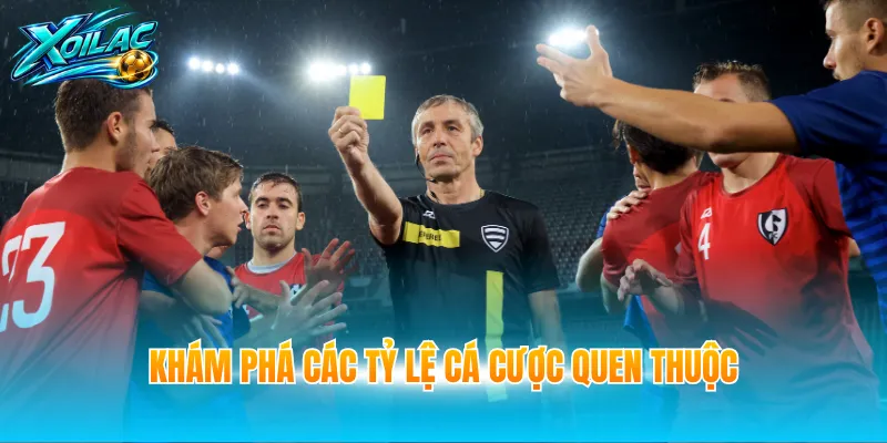 Khám phá các tỷ lệ cá cược quen thuộc