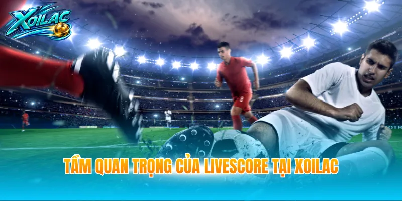 Tầm quan trọng của livescore tại Xoilac