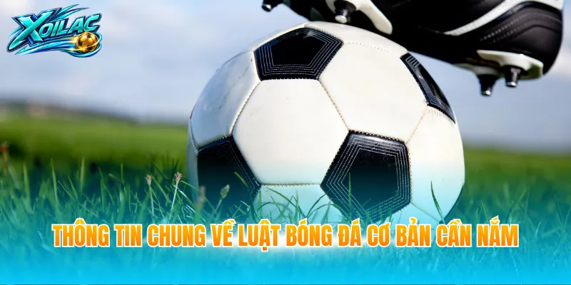 Thông tin chung về luật bóng đá cơ bản cần nắm