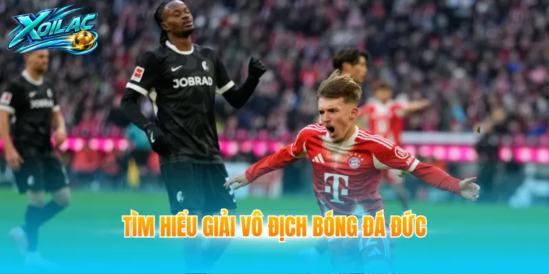 Tìm hiểu giải Vô địch bóng đá Đức