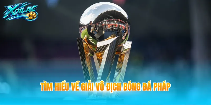 Tìm hiểu về giải Vô địch bóng đá Pháp