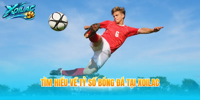 Tìm hiểu về tỷ số bóng đá tại Xoilac