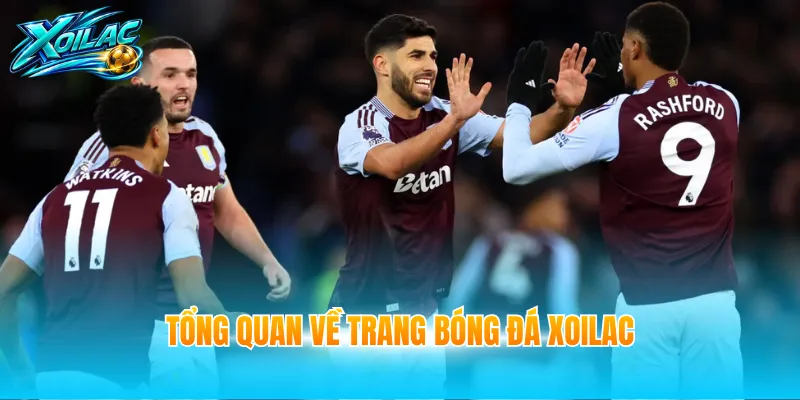 Tổng quan về trang bóng đá Xoilac
