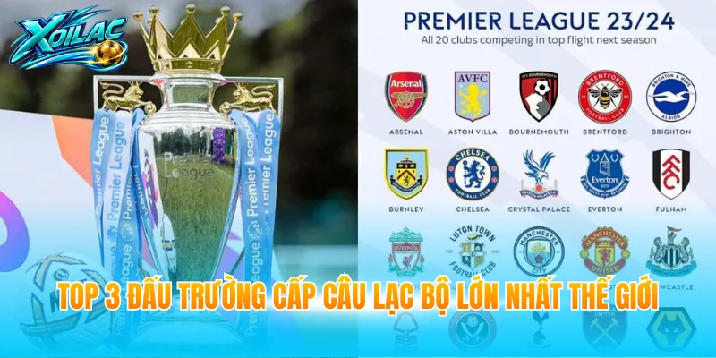 Top 3 đấu trường cấp câu lạc bộ lớn nhất thế giới