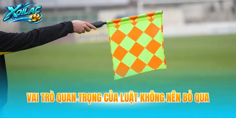 Vai trò quan trọng của luật không nên bỏ qua